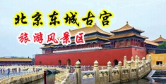 美国操逼免费视频网站中国北京-东城古宫旅游风景区